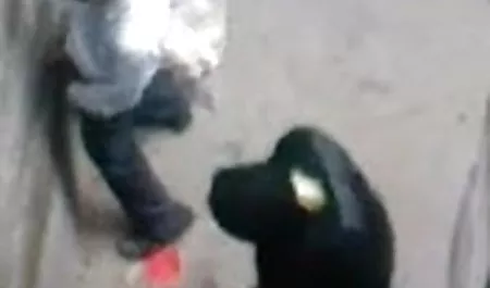 वासना को महसूस सेक्सी फिल्म हिंदी का किया