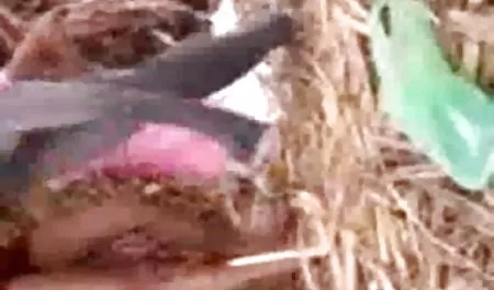 यूक्रेनी डारिया से सेक्सी फिल्म भेजो सेक्सी में घर का बना blowjob