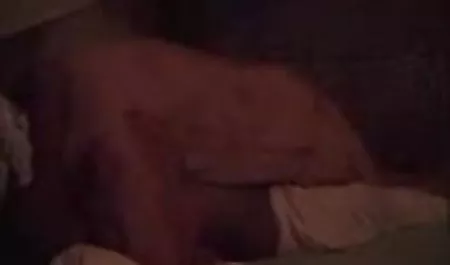 परिपक्व महिला सेक्स सेक्सी पिक्चर दिखाओ वीडियो