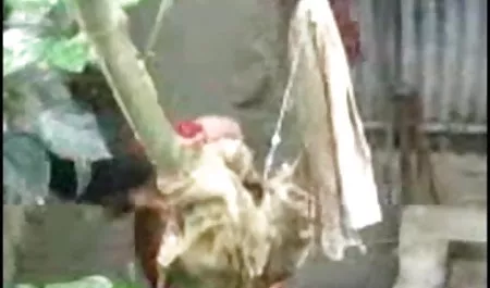 बहन बेटा वीडियो सेक्सी पिक्चर फिल्म और माँ