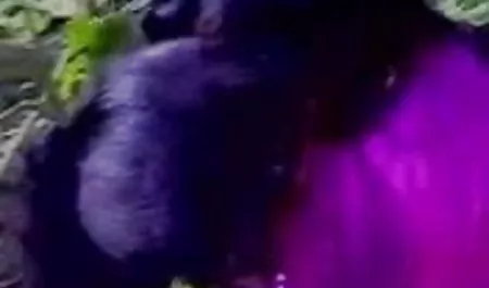उमस भरा गोरा गुदा molestation फुल हिंदी सेक्सी इंतजार कर रहा है