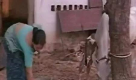 नॉन-स्टॉप सेक्स हिंदी फिल्म सेक्सी फिल्म