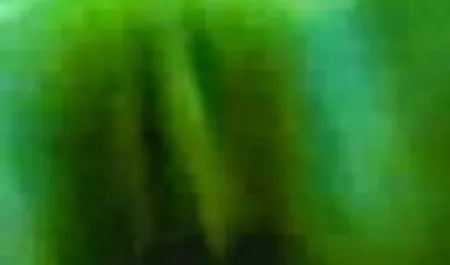 सेक्सी सौतेली माँ अपनी सौतेली बेटी को बताती है कि उसके मुँह में हिंदी में सेक्सी फिल्म वीडियो एक सदस्य कैसे ले सकता है