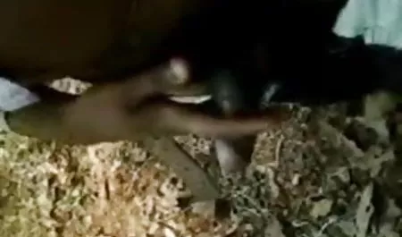 सेंट पीटर्सबर्ग से सेक्स फिल्म के पोर्न
