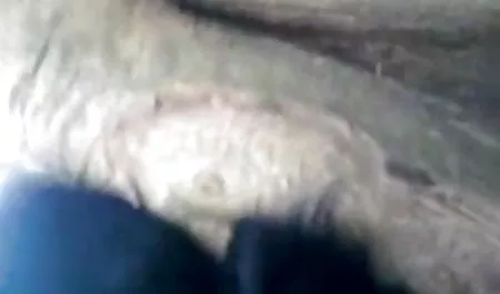सौतेले पिता ने योनि से हिंदी राजस्थानी सेक्स फिल्म प्यारा मुलत्तो मोनिका को सजा दिया